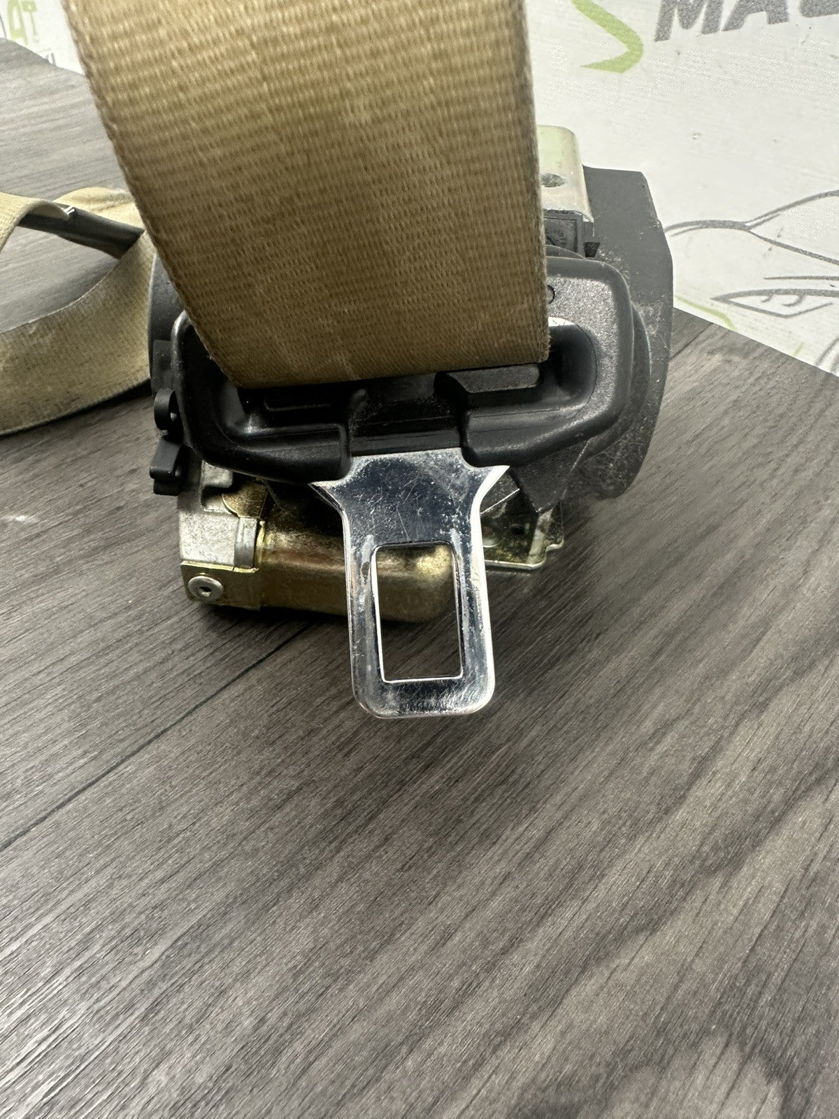 6304597