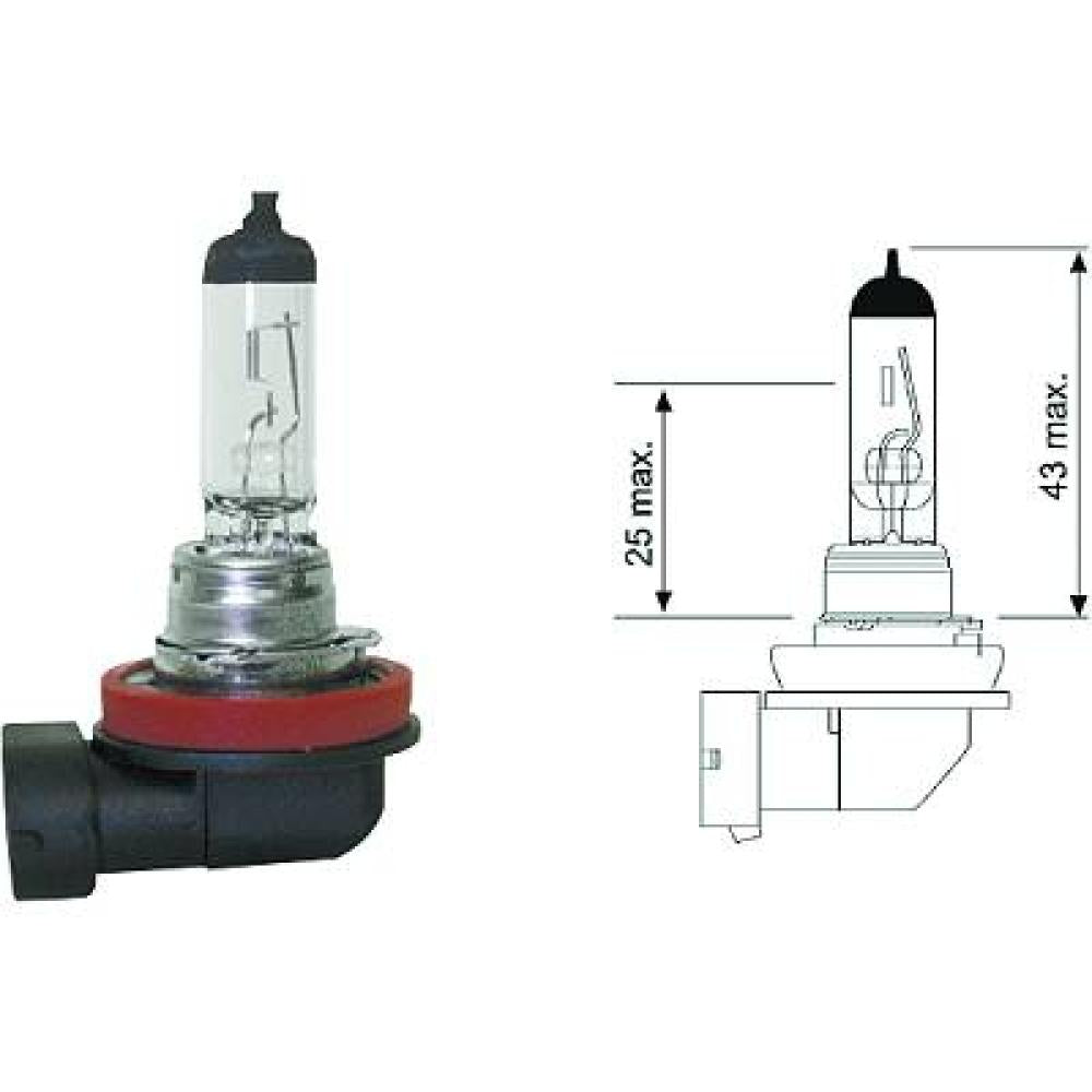 N000000001606 H11 12V 55W PGJ19-2 H11 Glühlampe     Halogen LID10040