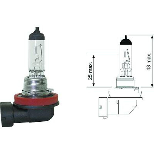 N000000001606 H11 12V 55W PGJ19-2 H11 Glühlampe     Halogen LID10040