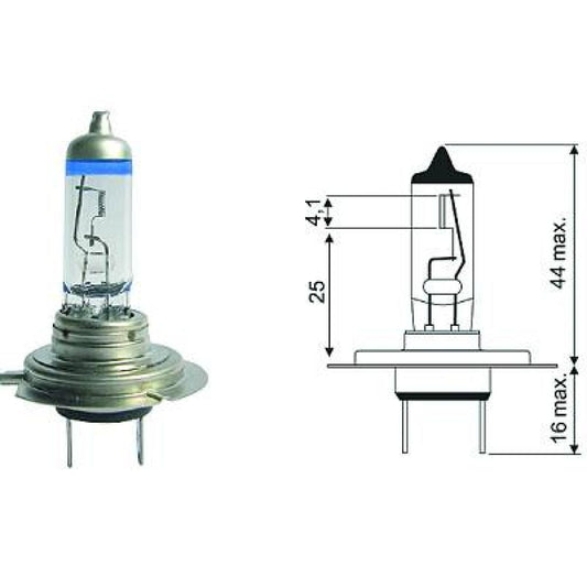 14145090 H7 12V 55W PX26d H7 Glühlampe Halogen LID10066