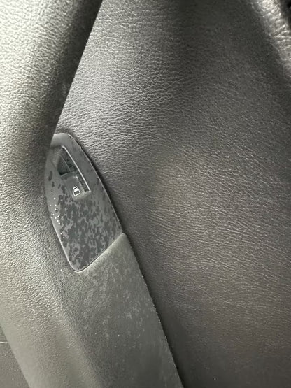 Leder Türverkleidung Türpappe Hinten Rechts Audi A3 8P 8P4867306