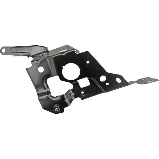 4100 8494438 HALTER KOTFL.VO.RE.   G20, 2019->> 1219346